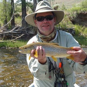 Meet your Posher, Craig